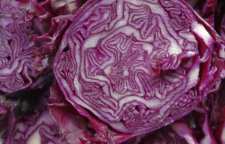 روش ترد شدن کلم بنفش