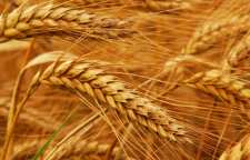 آداب خمس و زکات در اسلام