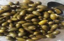 نحوه تهیه ترشی شپله