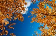 در فصل پاییز آسمان آبی تر می شود