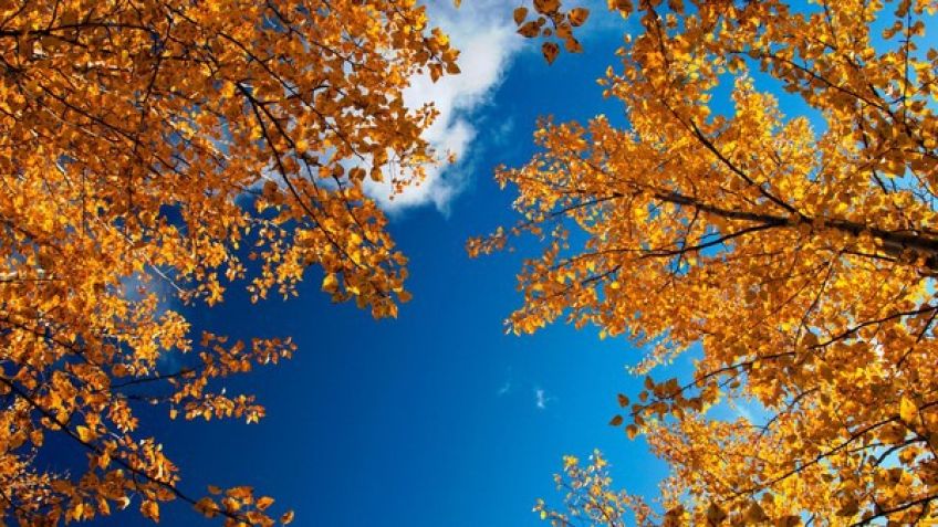 در فصل پاییز آسمان آبی تر می شود