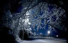 نکات جالب درباره برف