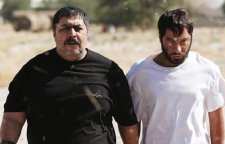 مغزهای کوچک زنگ زده مرز 10 میلیارد را رد کرد