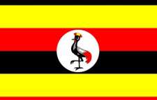 آشنایی با مردم و مراسم عاشورا در کشور اوگاندا