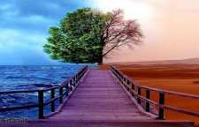 عالم برزخ چگونه عالمی است