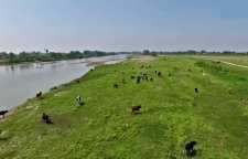 پارک ملی بوجاق بندر کیاشهر استان گیلان نخستین پارک ملی خشکی دریایی ایران