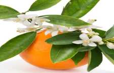 نحوه تهیه دمنوش چای بهار نارنج