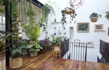 تاثیر گل های آپارتمانی در دکوراسیون داخلی منزل