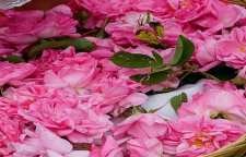 روش تهیه مربای گل محمدی