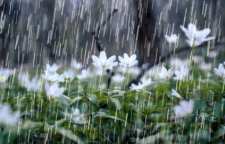 باران چگونه تشکیل می شود