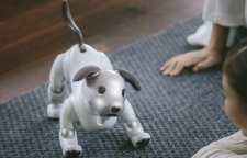 ربات سگ هوشمند Aibo
