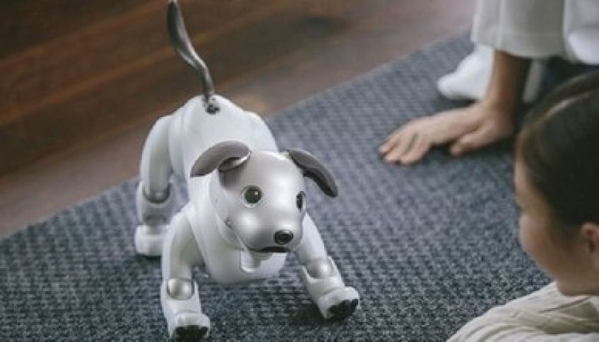 ربات سگ هوشمند Aibo