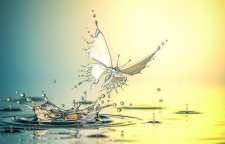 شعری زیبا از مثنویات سعدی در مورد نیکی کردن