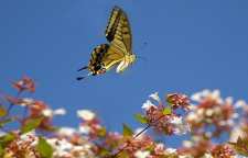 داستان کوتاه و زیبای ارزش انسان ها