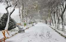 دلیل سکوت روزهای برفی چیست