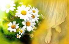 شعر طلوع آفتاب پنهانی در مدح امام زمان از شاعر معاصر قیصر امین پور