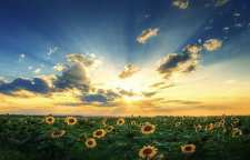 شعر زیبای صبح دلاویز از شاعر معاصر فریدون مشیری