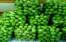 روش تهیه ترشی گوجه سبز