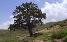 خوش ییلاق شاهرود در استان سمنان