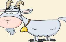 حکایت و کاربرد ضرب المثل بز خری کردن