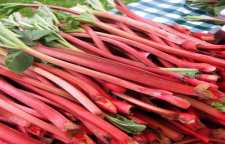 طرز تهیه مارمالاد ریواس