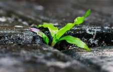 راهکار های غلبه بر ناامیدی و انواع آن