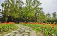 باغ محتشم قدیمی ترین پارک رشت