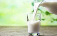روش تشخیص شیر خالص از ناخالص