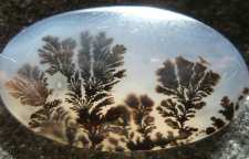 سنگ عقیق شجر چیست و چگونه تشکیل می شود