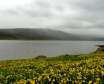 دریاچه نئور اردبیل دریاچه آب شیرین و طبیعی