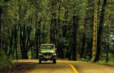 جنگل دالخانی رامسر