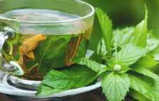 فواید دمنوش گزنه و مضرات آن