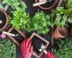 آشنایی با خاک مناسب برای گیاهان آپارتمانی