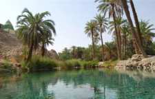 چشمه سبز پوشان شهرستان حاجی آباد استان هرمزگان