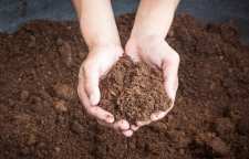 آشنایی با پیت ماس و نحوه استفاده از آن در خاک گیاهان