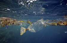 بررسی آلودگی دریاها