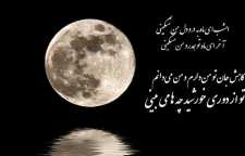 شعر غمگین و عاشقانه نی محزون از شاعر معاصر استاد شهریار