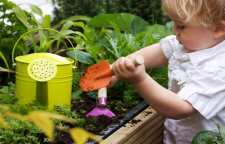 آشنایی با گیاهان خانگی خطرناک برای کودکان