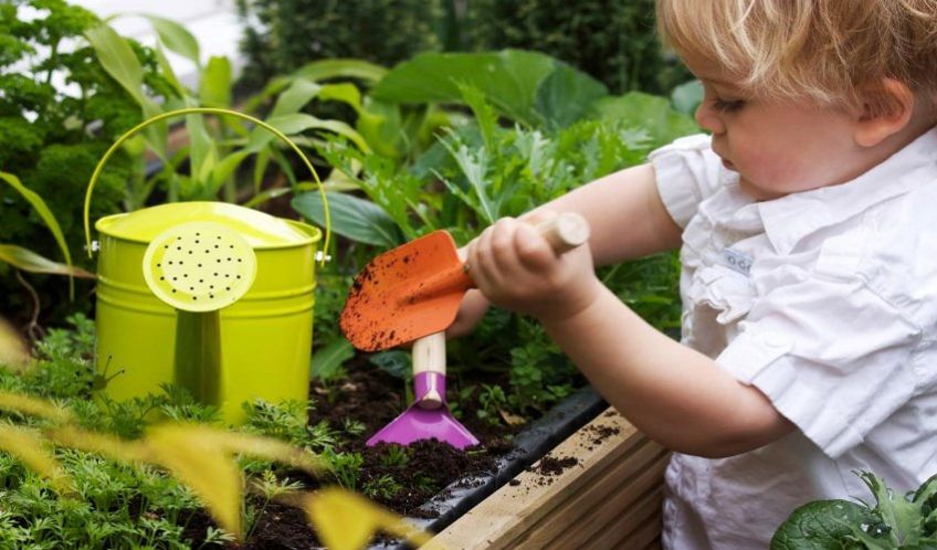 آشنایی با گیاهان خانگی خطرناک برای کودکان