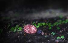 رنگ های مختلف الماس و نحوه ارزش گذاری آن