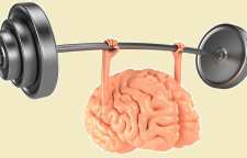 معمای تصویری مزرعه دار و کلاغ ها به همراه پاسخ تشریحی