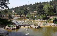 باغ پرندگان تهران