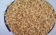 15 خاصیت درمانی جو دوسر