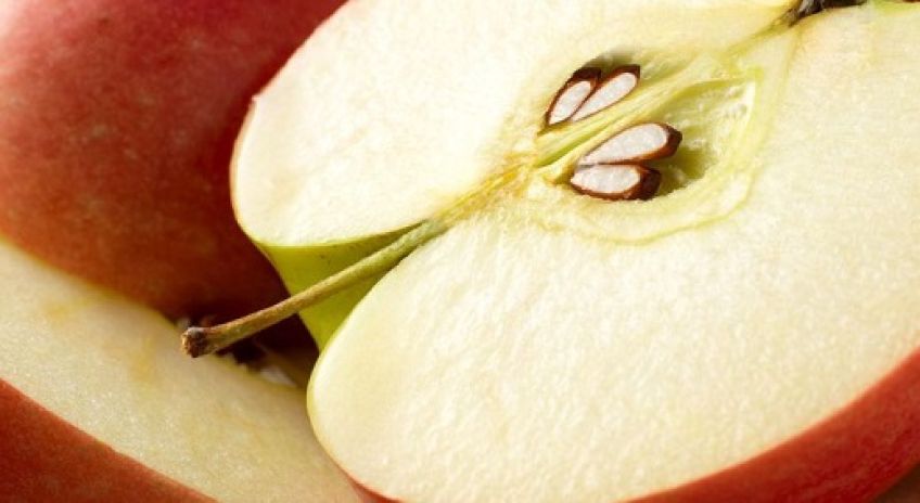 آیا خوردن هسته بعضی میوه ها همچون سیب خطرناک است