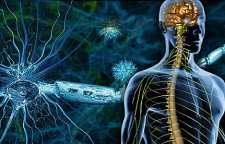 ام اس چه نوع بیماری است و دلایل ابتلا به آن چیست