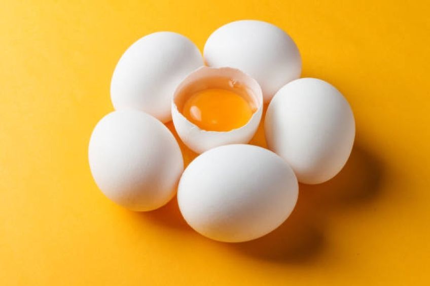 روند ساخت شدن تخم مرغ