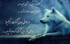 شعر زیبا و مفهومی گرگ درون از شاعر معاصر فریدون مشیری