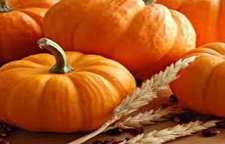 روش تهیه نوشیدنی میلک شیک کدو حلوایی