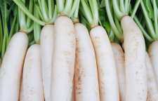 ترب سفید را در زمستان حتما بخورید