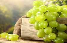 شعر و داستان نزاع چهار نفر بر سر انگور از سری داستان های مثنوی معنوی